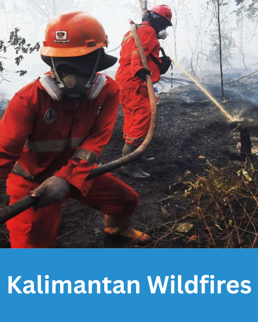 Kalimantan Wildfires
